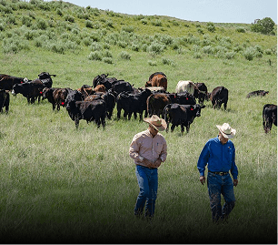 ranches Image Png